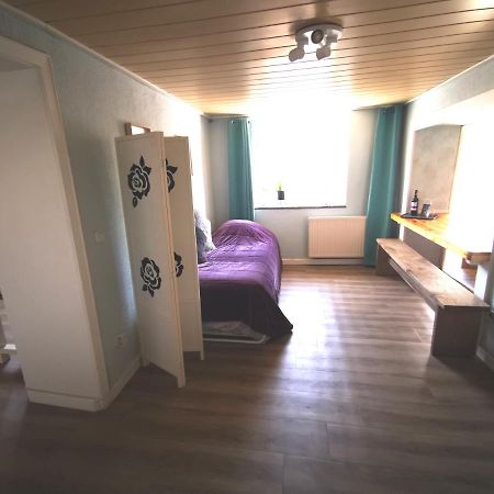 Mooi Ruim Appartement In Antieke Stadsboerderij Schönecken Eksteriør billede