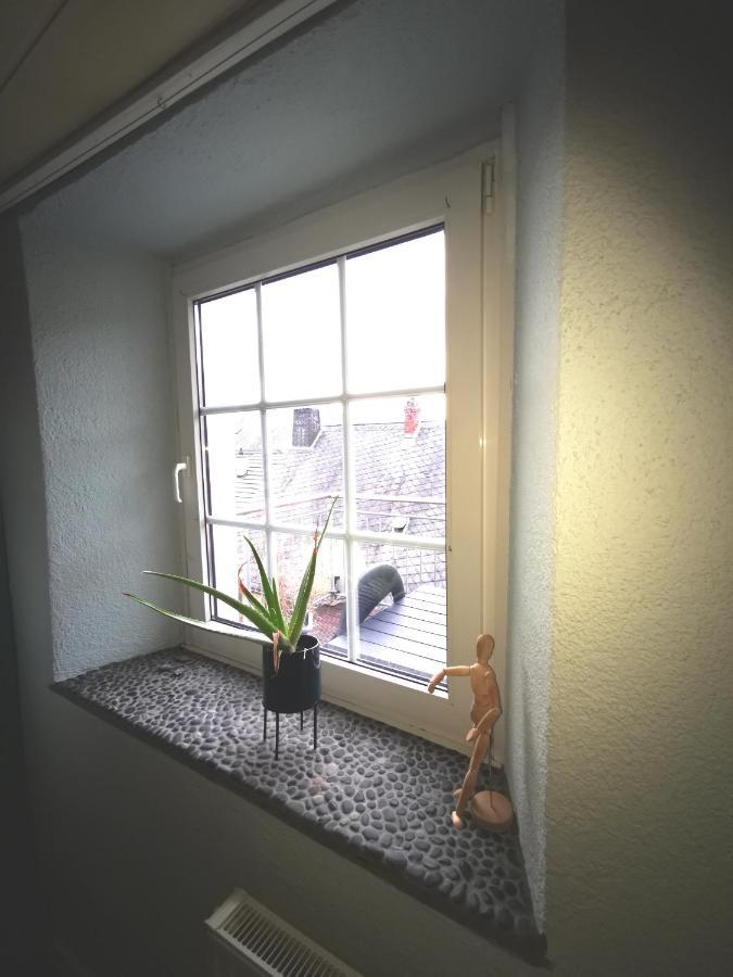 Mooi Ruim Appartement In Antieke Stadsboerderij Schönecken Eksteriør billede