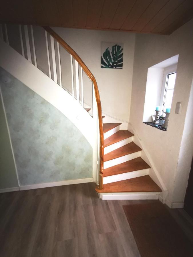 Mooi Ruim Appartement In Antieke Stadsboerderij Schönecken Eksteriør billede