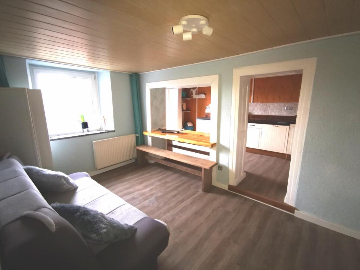 Mooi Ruim Appartement In Antieke Stadsboerderij Schönecken Eksteriør billede