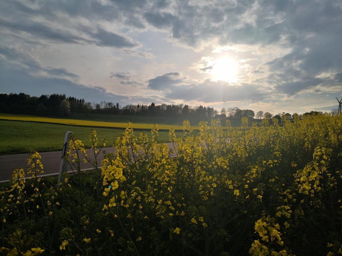 Mooi Ruim Appartement In Antieke Stadsboerderij Schönecken Eksteriør billede