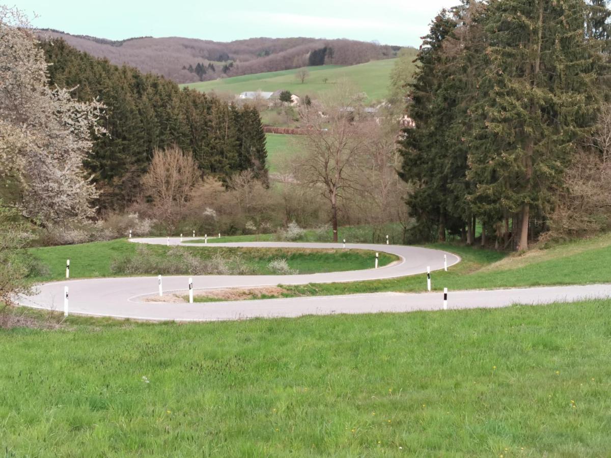 Mooi Ruim Appartement In Antieke Stadsboerderij Schönecken Eksteriør billede