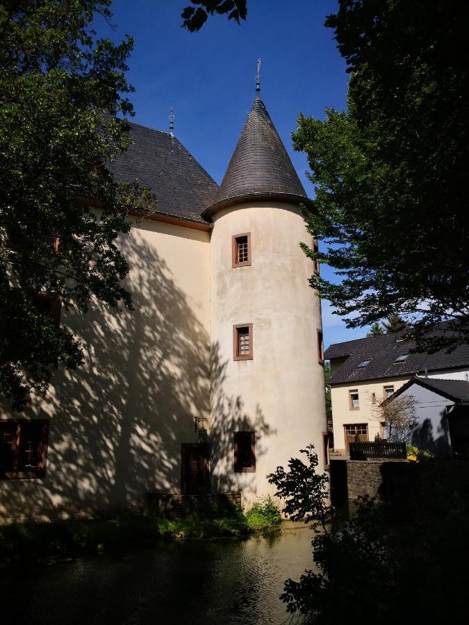 Mooi Ruim Appartement In Antieke Stadsboerderij Schönecken Eksteriør billede